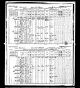 Robert_Mary 1891 Census Wilson.jpg